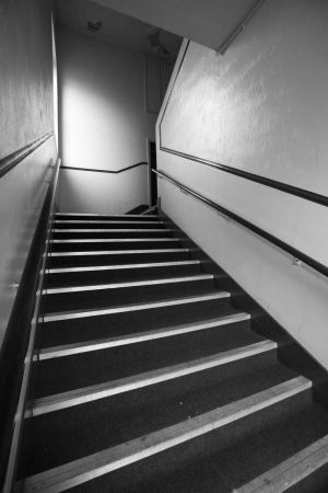 Shadow Lands bw sm.jpg